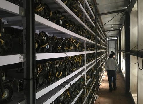 An intricate view of a modern mining rig setup, showcasing its components and efficiency in a hosted environment